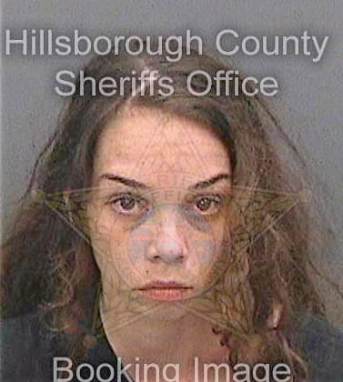 Roark Ariel - Hillsborough County, FL 