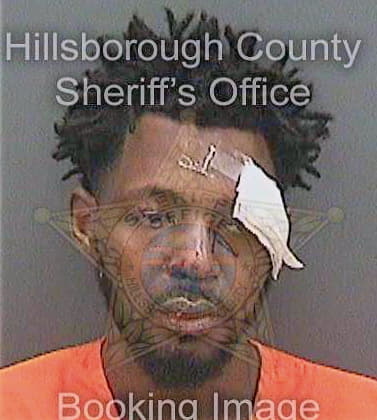 Bivins Terrence - Hillsborough County, FL 