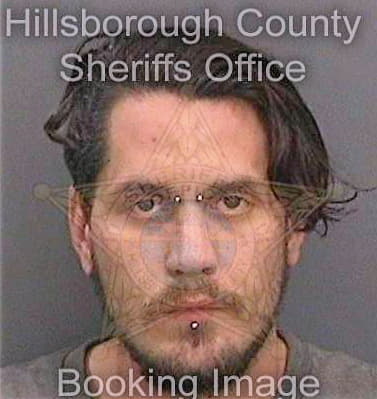 Aguillard David - Hillsborough County, FL 