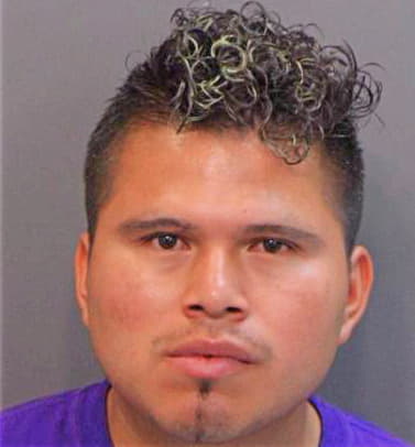 Gomez Elfido - Hamilton County, TN 