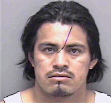Andres Hermenegildo - Lee County, FL 