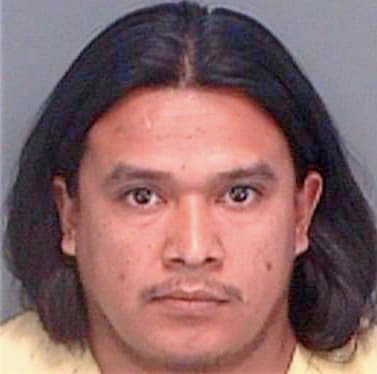 Ramirez Rafael - Pinellas County, FL 