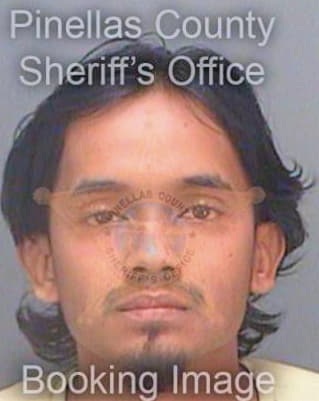 Johnson Shannon - Pinellas County, FL 