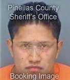 Espanol Angel - Pinellas County, FL 