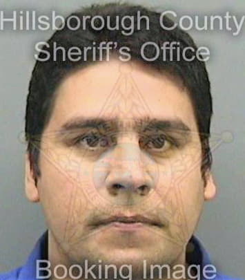 Delacruzsamayoa Carlos - Hillsborough County, FL 