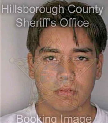 Alvarez Eduardo - Hillsborough County, FL 