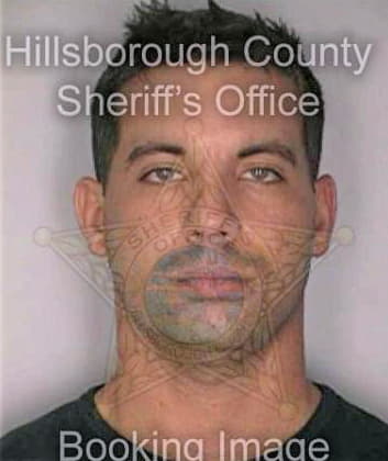 Napoli Michael - Hillsborough County, FL 