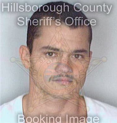 Hernandez Anastacio - Hillsborough County, FL 