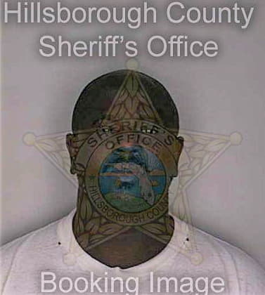 Pittman Clifford - Hillsborough County, FL 