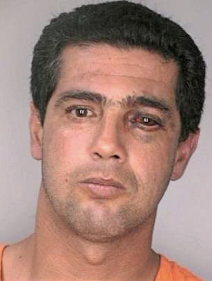 Gonzalez Enrique - Hillsborough County, FL 