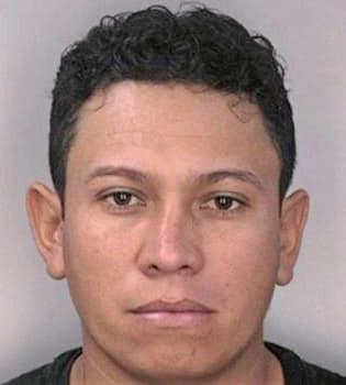 Hernandez Jairo - Hillsborough County, FL 