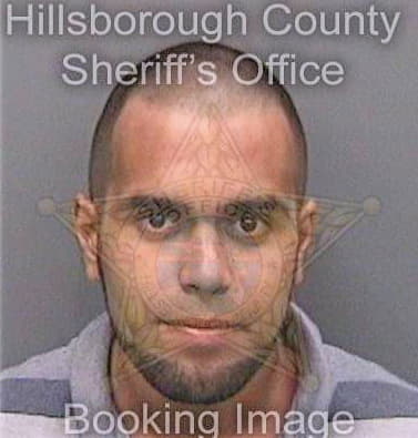 Beltran Michael - Hillsborough County, FL 