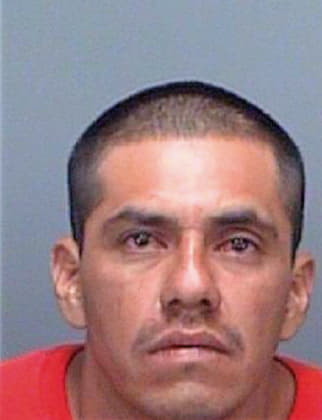 Hernandez Ricardo - Pinellas County, FL 