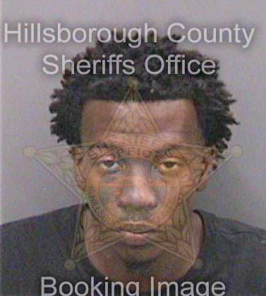 Larry Devante - Hillsborough County, FL 