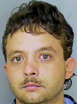 Lewis Elliot - Polk County, FL 