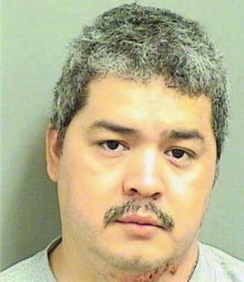 Pizano Mario - PalmBeach County, FL 