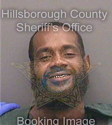 Dilworth Michael - Hillsborough County, FL 
