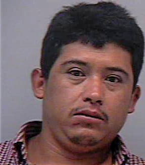 Ramirez-Larado Ramon - Gwinnett County, GA 