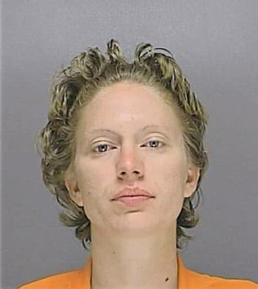 Harshman Ashley - Volusia County, FL 