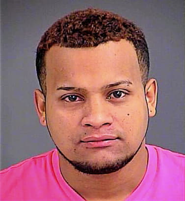 Hernandez Carlos - Charleston County, SC 