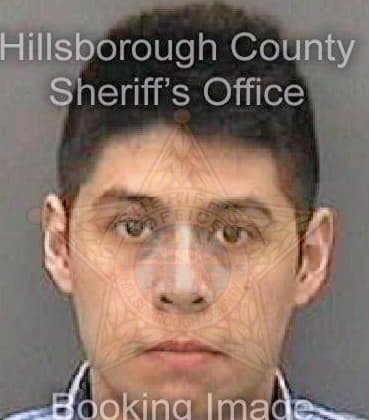 Reyesuribe Edwin - Hillsborough County, FL 