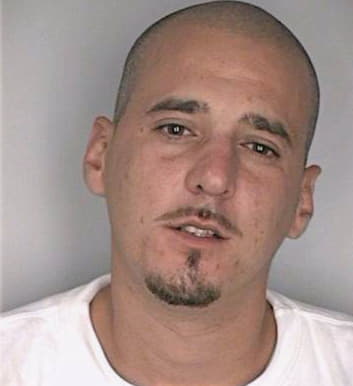 Vazquez James - Hillsborough County, FL 
