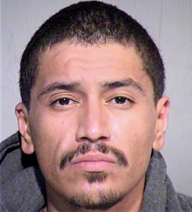 Gonzalez Ronnie - Maricopa County, AZ 
