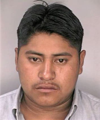 Perez Juan - Hillsborough County, FL 