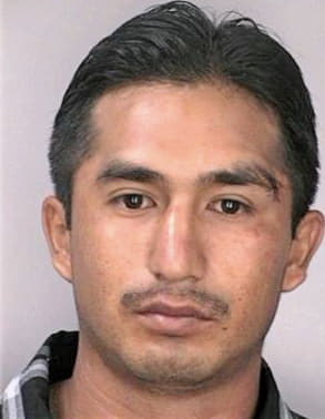 Hernandez Orlando - Hillsborough County, FL 