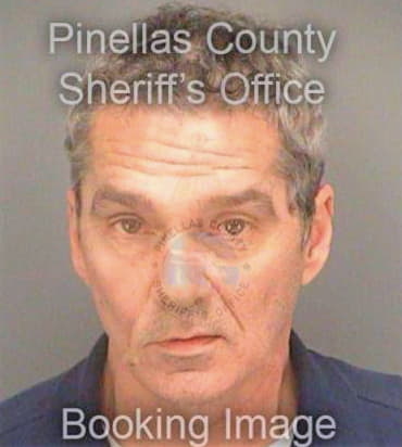 Gilliam Shayne - Pinellas County, FL 