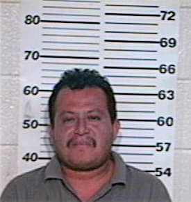 Hernandez Tomas - Hidalgo County, TX 