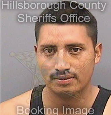 Perezlopez Yobani - Hillsborough County, FL 