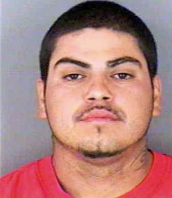 Carrillo David - Collier County, FL 