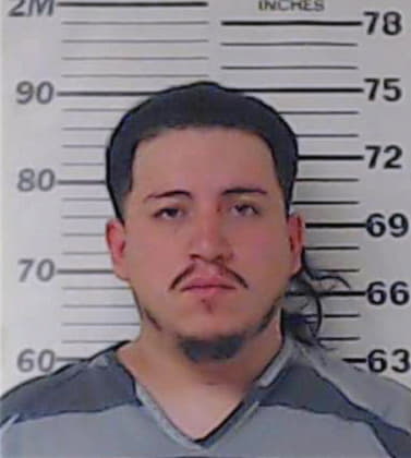 Robles-Rosas Felipe - Henderson County, TX 