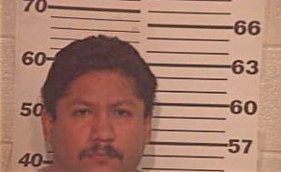Castillo Mario - Hidalgo County, TX 