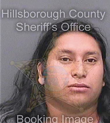 Menchugarcia Santos - Hillsborough County, FL 