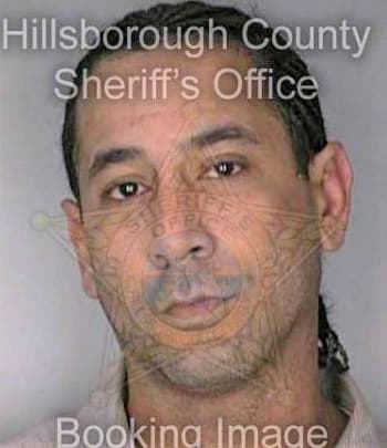 Mccoy William - Hillsborough County, FL 