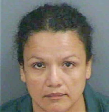 Almendarizgarza Ana - Collier County, FL 