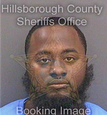 Swain Calvin - Hillsborough County, FL 