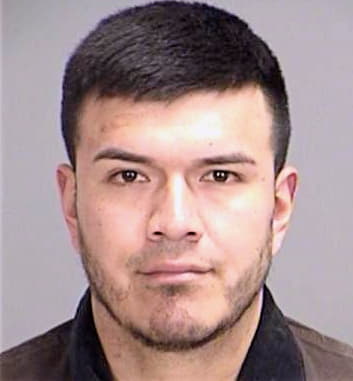 Pineda Ismael - Brazos County, TX 