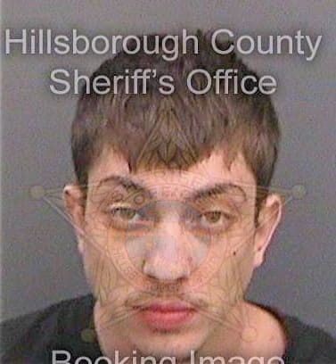 Fagen Patrick - Hillsborough County, FL 