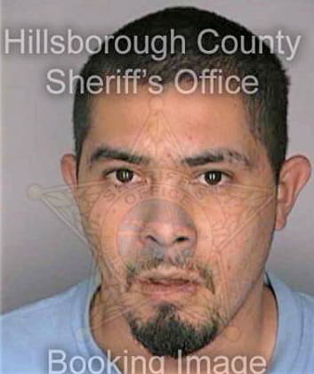 Andujarrivera Sandro - Hillsborough County, FL 