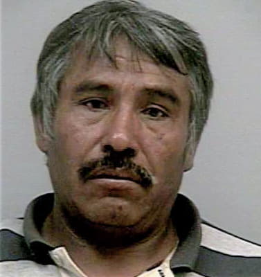 Flores Angelico - Gwinnett County, GA 
