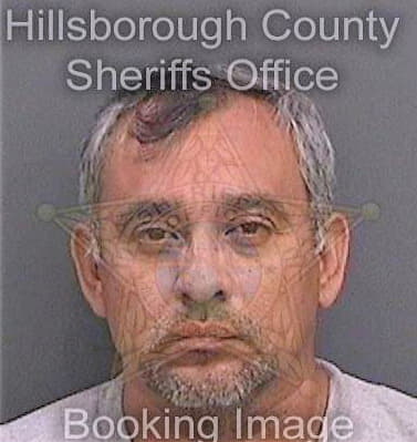 Padillaleal Bayron - Hillsborough County, FL 