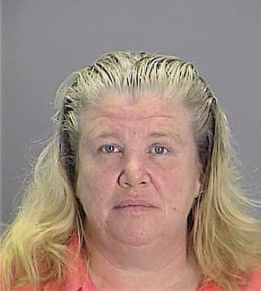 Gipe Debra - Pasco County, FL 