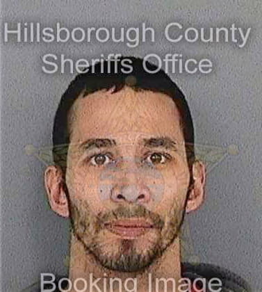 Gonzalez Juan - Hillsborough County, FL 