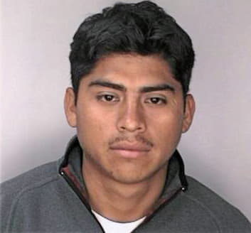 Clemente Noe - Hillsborough County, FL 