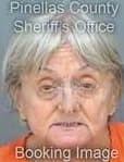 Stein Paulette - Pinellas County, FL 