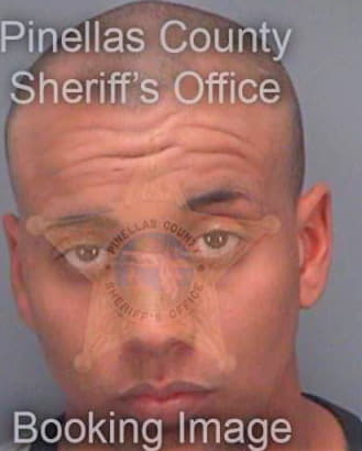 Nesbit Tagee - Pinellas County, FL 