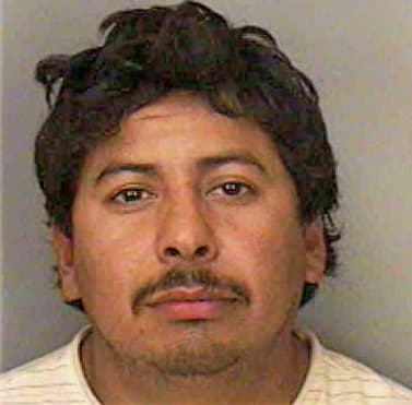 Hernandez Dommgo - Polk County, FL 